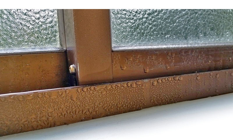 Humidité dans les murs - condensation - Insectira Hannut